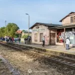2018-07-07-blues-express-zakrzewo-region-krajna-26