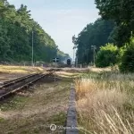 2018-07-07-blues-express-zakrzewo-region-krajna-4