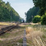 2018-07-07-blues-express-zakrzewo-region-krajna-4