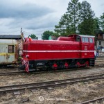 2019-07-06-zlot-kolejek-waskotorowych-bialosliwie-region-krajna-51