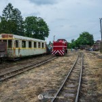 2019-07-06-zlot-kolejek-waskotorowych-bialosliwie-region-krajna-52