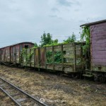 2019-07-06-zlot-kolejek-waskotorowych-bialosliwie-region-krajna-54