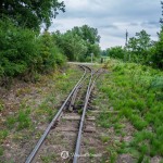 2019-07-06-zlot-kolejek-waskotorowych-bialosliwie-region-krajna-59