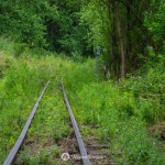 2019-07-06-zlot-kolejek-waskotorowych-bialosliwie-region-krajna-60