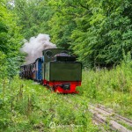 2019-07-06-zlot-kolejek-waskotorowych-bialosliwie-region-krajna-61