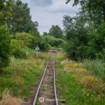 2019-07-06-zlot-kolejek-waskotorowych-bialosliwie-region-krajna-63