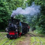 2019-07-06-zlot-kolejek-waskotorowych-bialosliwie-region-krajna-71