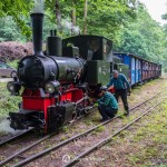 2019-07-06-zlot-kolejek-waskotorowych-bialosliwie-region-krajna-72