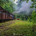 2019-07-06-zlot-kolejek-waskotorowych-bialosliwie-region-krajna-76