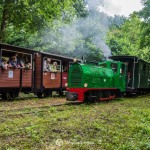 2019-07-06-zlot-kolejek-waskotorowych-bialosliwie-region-krajna-81