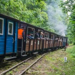 2019-07-06-zlot-kolejek-waskotorowych-bialosliwie-region-krajna-83