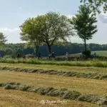 boska-wycieczka-region-krajna-261
