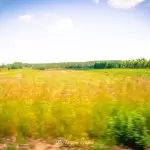 splyw-kajakowy-rzeka-rurzyca-region-krajna-5