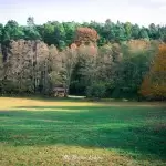 ziola-na-talerzu-region-krajna-4