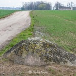glaz-narzutowy-zabartowo-region-krajna-12