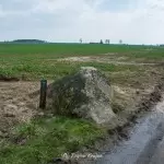 glaz-narzutowy-zabartowo-region-krajna-14
