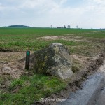 glaz-narzutowy-zabartowo-region-krajna-14