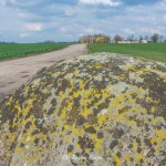 glaz-narzutowy-zabartowo-region-krajna-19