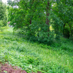 trip-powitanie-lata-2026-12-krajna