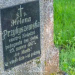 Kościół w Wielowiczu