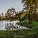 Pałac Komierowo