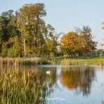 Pałac Komierowo