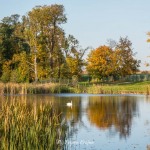Pałac Komierowo