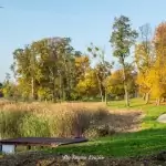 Pałac Komierowo