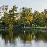 Pałac Komierowo