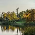 Pałac Komierowo