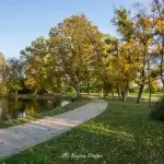 Pałac Komierowo