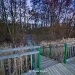 Platforma widokowa przy promenadzie w Złotowie