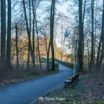 Platforma widokowa przy promenadzie w Złotowie