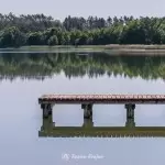 plaza-smilowo-region-krajna-18