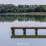 plaza-smilowo-region-krajna-18
