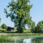 plaza-smilowo-region-krajna-5