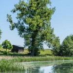 plaza-smilowo-region-krajna-5