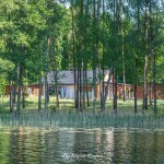 Plaża w Kujankach nad jeziorem Borówno