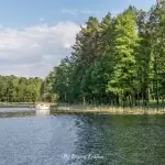 Plaża w Kujankach nad jeziorem Borówno