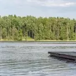 Plaża w Kujankach nad jeziorem Borówno