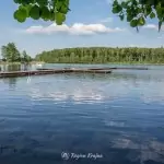 Plaża w Kujankach nad jeziorem Borówno