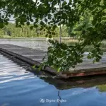 Plaża w Kujankach nad jeziorem Borówno