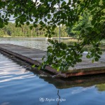 Plaża w Kujankach nad jeziorem Borówno