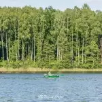 Plaża w Kujankach nad jeziorem Borówno