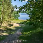 Plaża w Lubczy