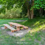 Plaża w Lubczy