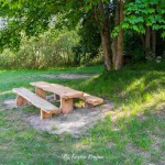 Plaża w Lubczy