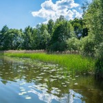 Plaża w Lubczy