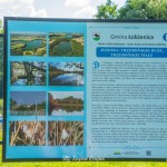 Plaża w Trzeboniu