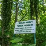 pomnik-przyrody-bluszcz-wiecbork-region-krajna-3